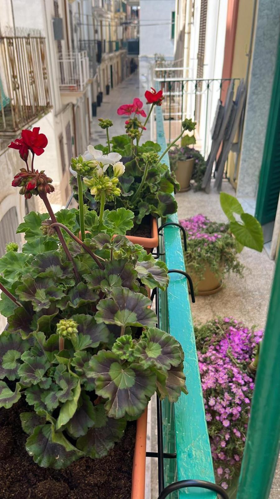 Villa La Casa Di Nonna Sisina Mola di Bari Exterior foto